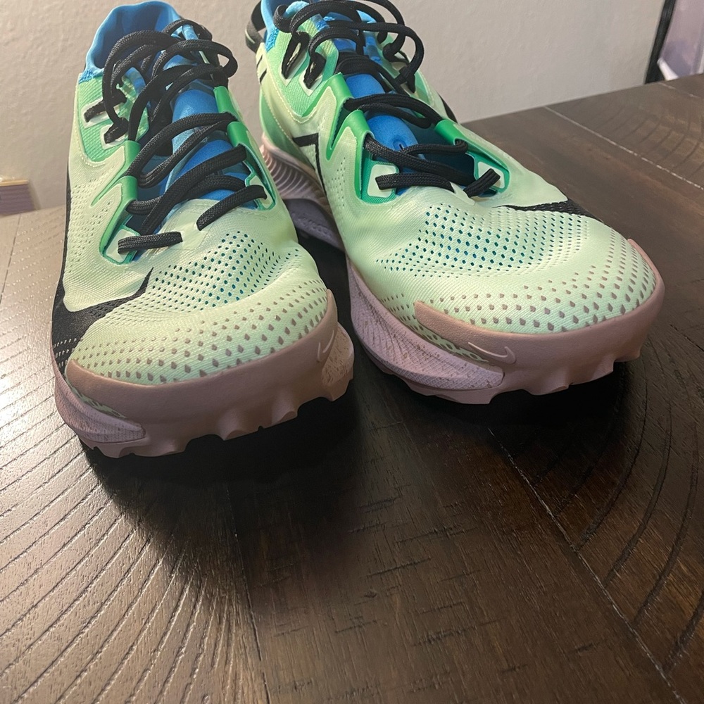 Nike Pegasus Trail 2